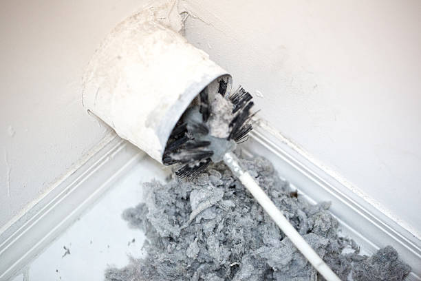 Best Affordable Duct Cleaning Services  in Big Rapids, MI